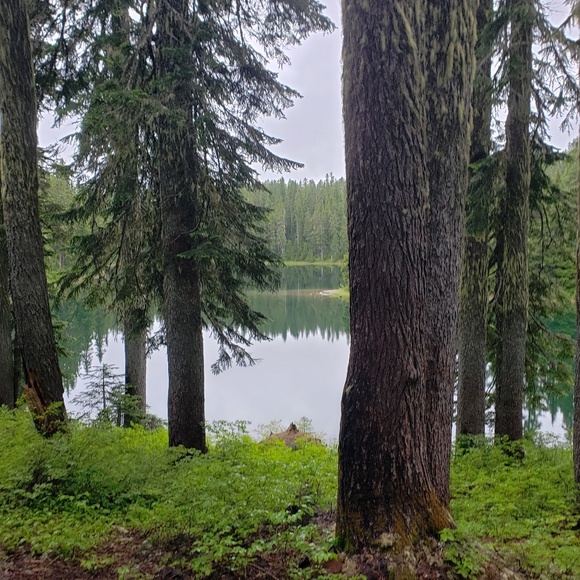 Meet your Posher, Karin - Picture 5 of 6